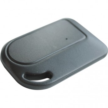 Брелок PANDORA IS-250/350 Брелок PANDORA IS-250/350